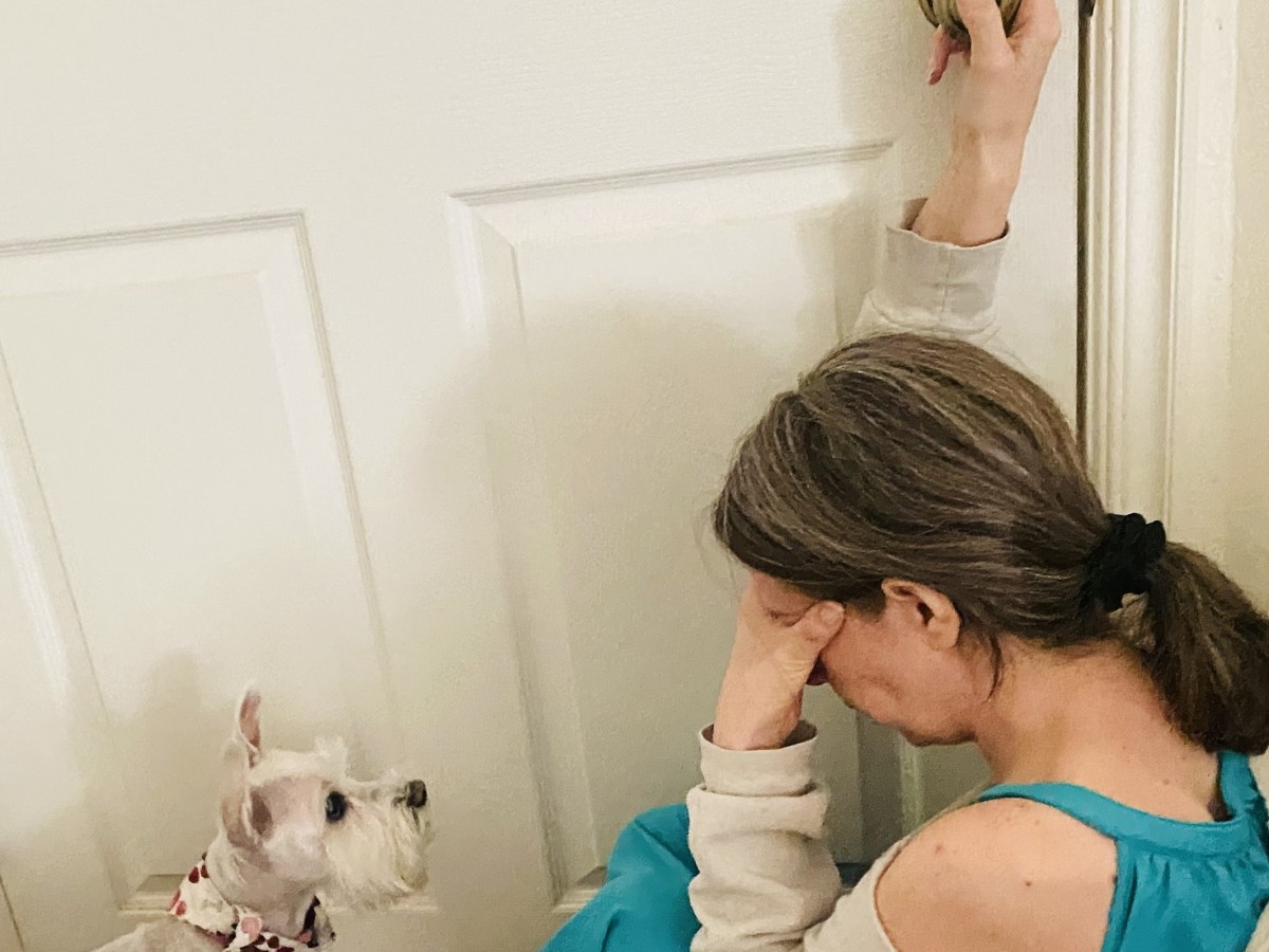 When the Hurt Comes from the Smallest Hands: Talking About Child-to-Parent Abuse in Young&nbsp;Children